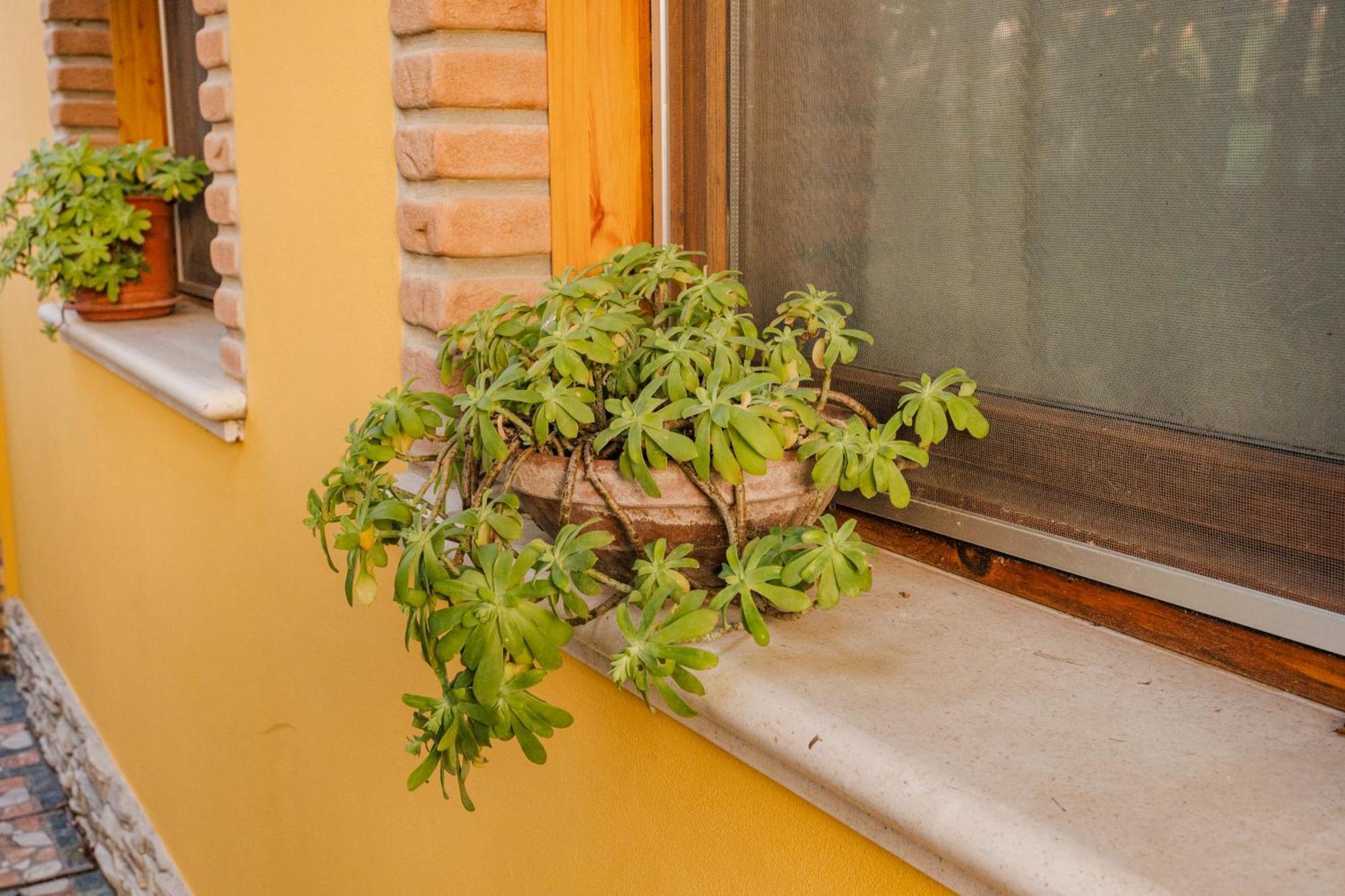 La Loggia Bed & Breakfast Comacchio Ngoại thất bức ảnh